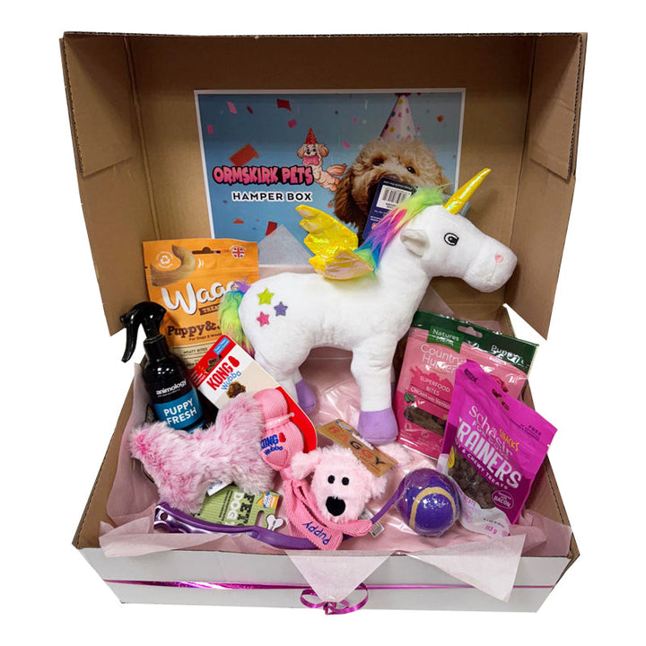 New Puppy Hamper Box for Girl
