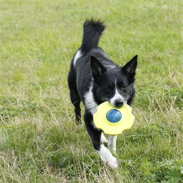 Foaber Fusion Nucleus 2in1 Tough Dog Toy