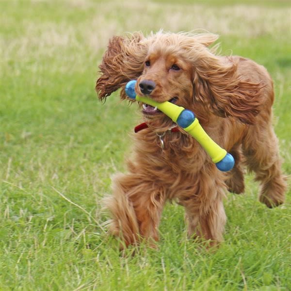 Foaber Fusion Molecule Tough Dog Toy
