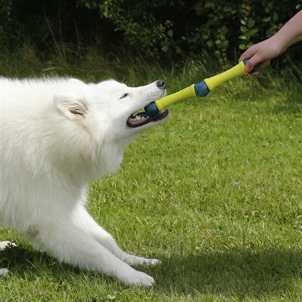 Foaber Fusion Molecule Tough Dog Toy