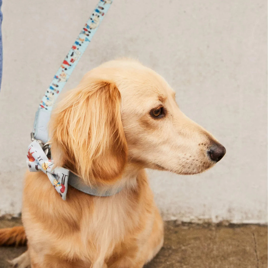 Cath Kidston London People Printed Pet Collar