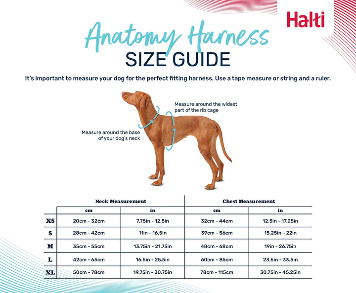 Halti Anatomy Harness Grey