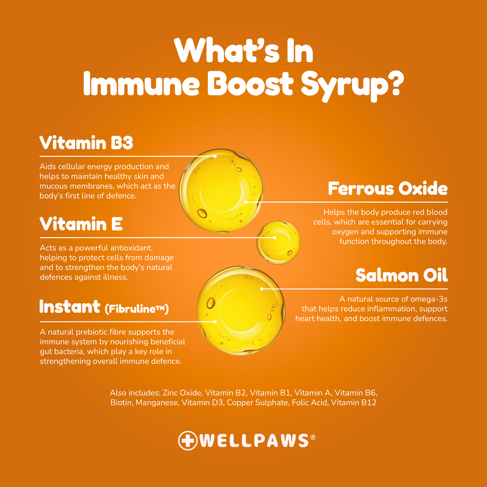 WellPaws Immune Boost Syrup 300ml