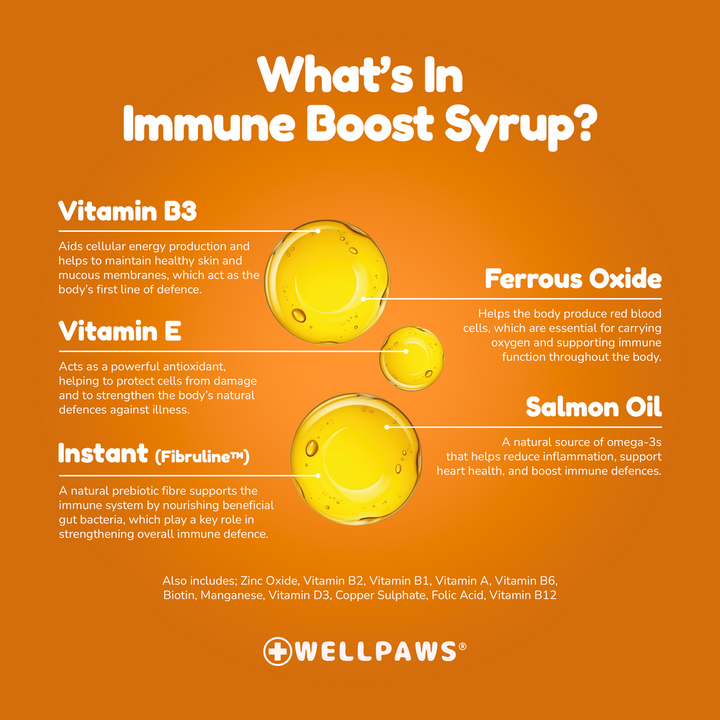 WellPaws Immune Boost Syrup 300ml