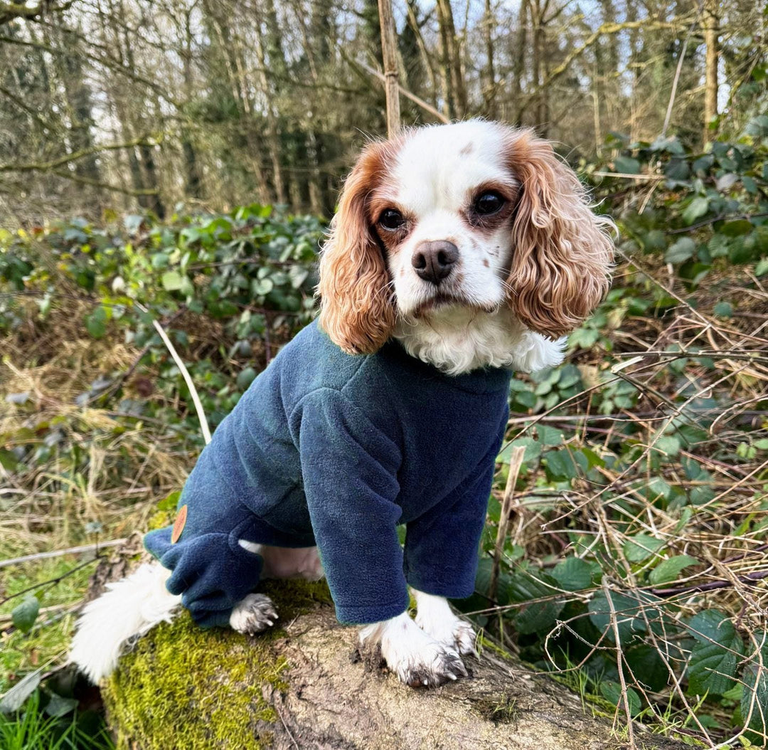HugglePets Legacy Polar Fleece Explorer