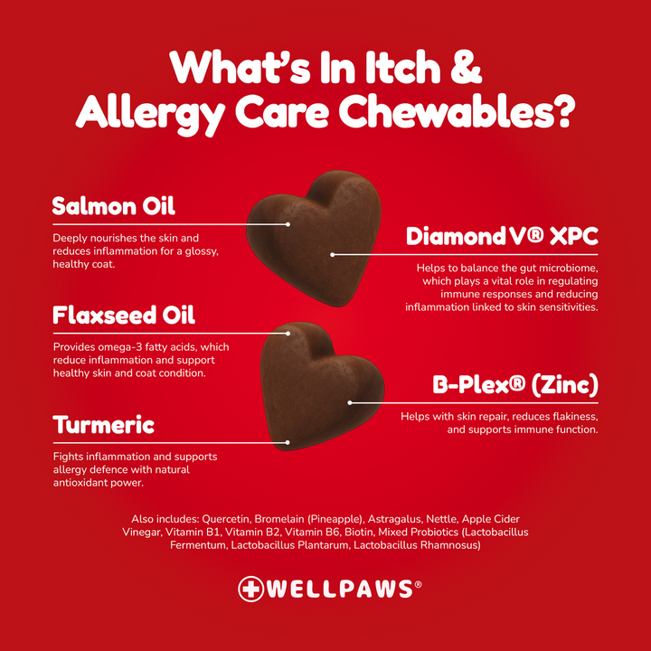 WellPaws Itch & Allergy Care Chewable 180g