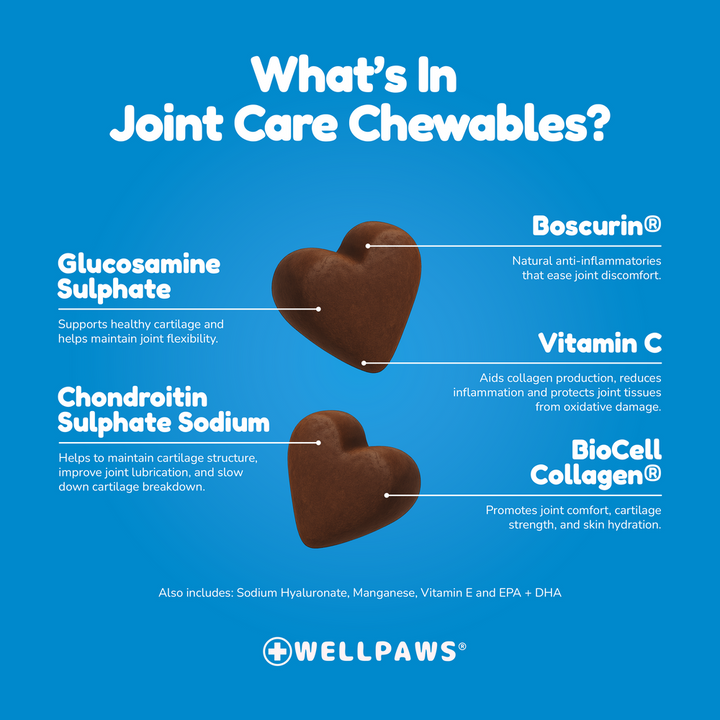 WellPaws Joint Care Chewable 180g