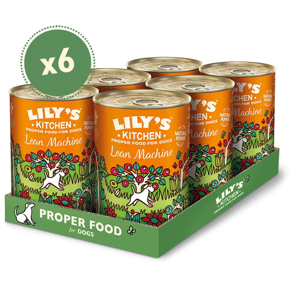 Lily's Kitchen Dog Lean Machine 400g x 6