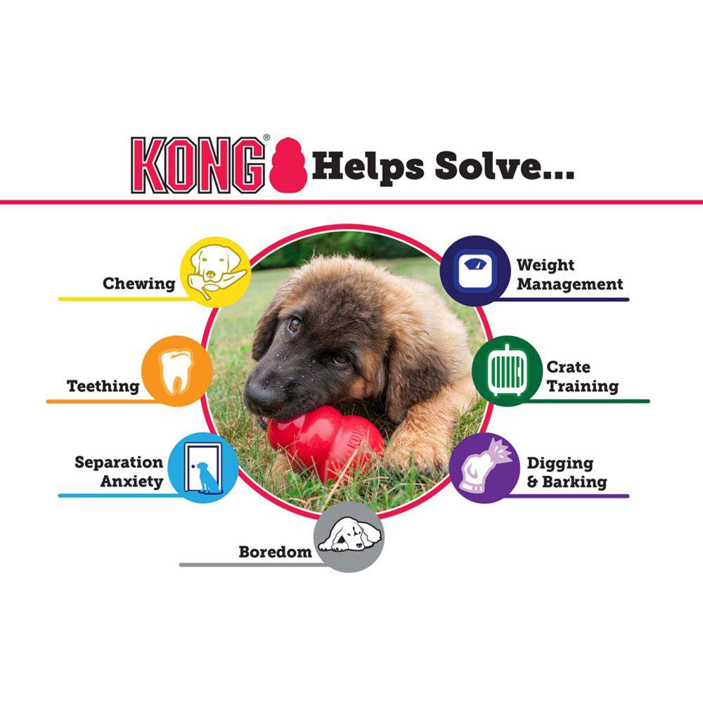KONG Classic - Ormskirk Pets