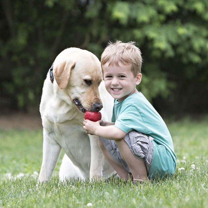KONG Classic - Ormskirk Pets