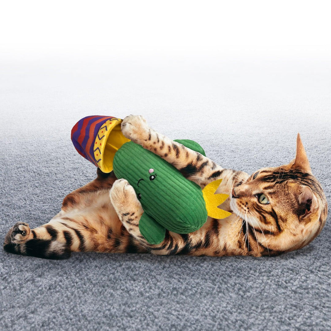 Kong Cat Wrangler Cactus