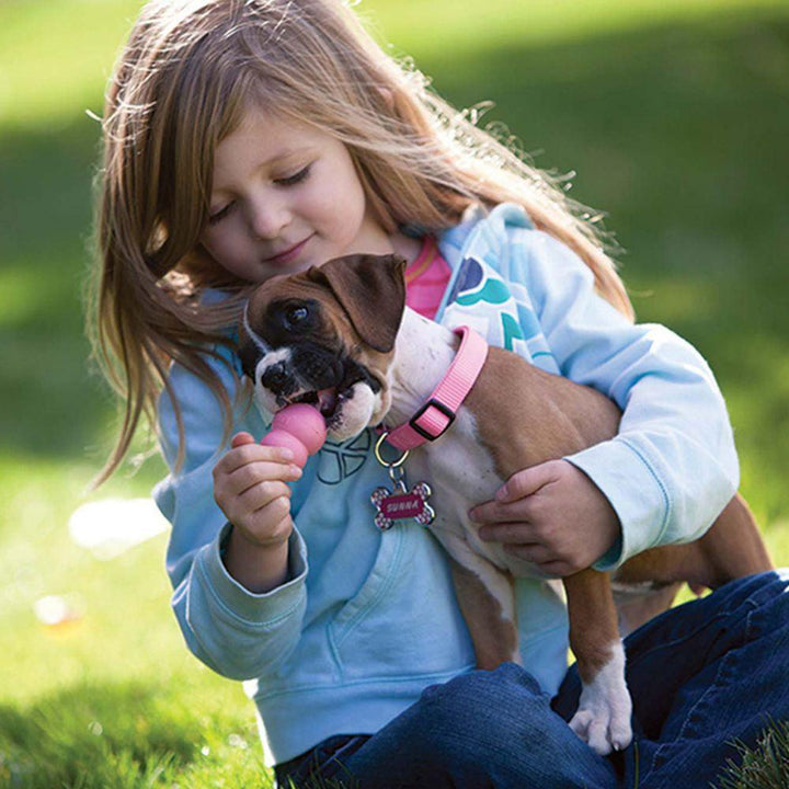 KONG Puppy - Ormskirk Pets