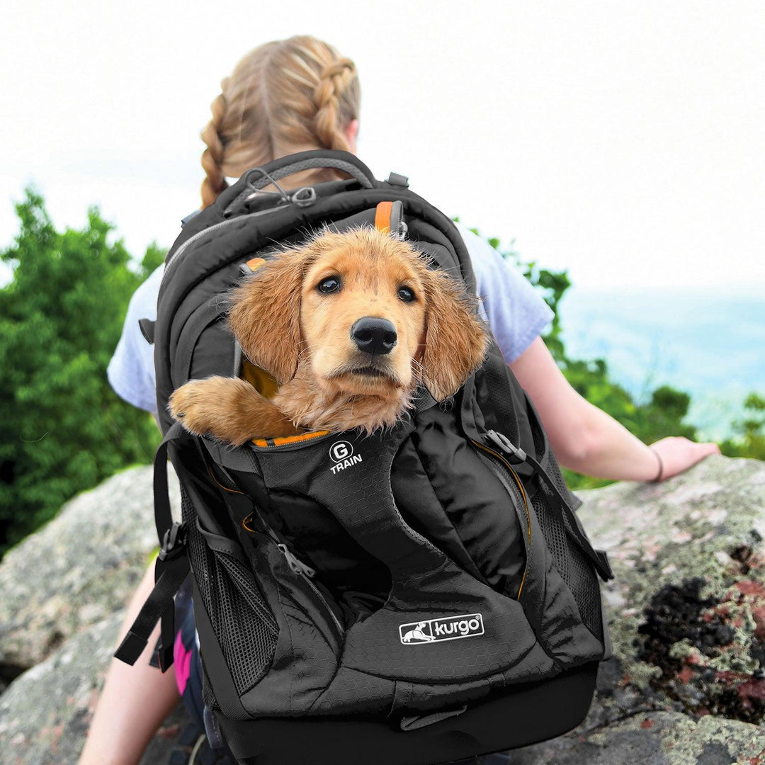 Kurgo G-Train K9 Pack Small Black