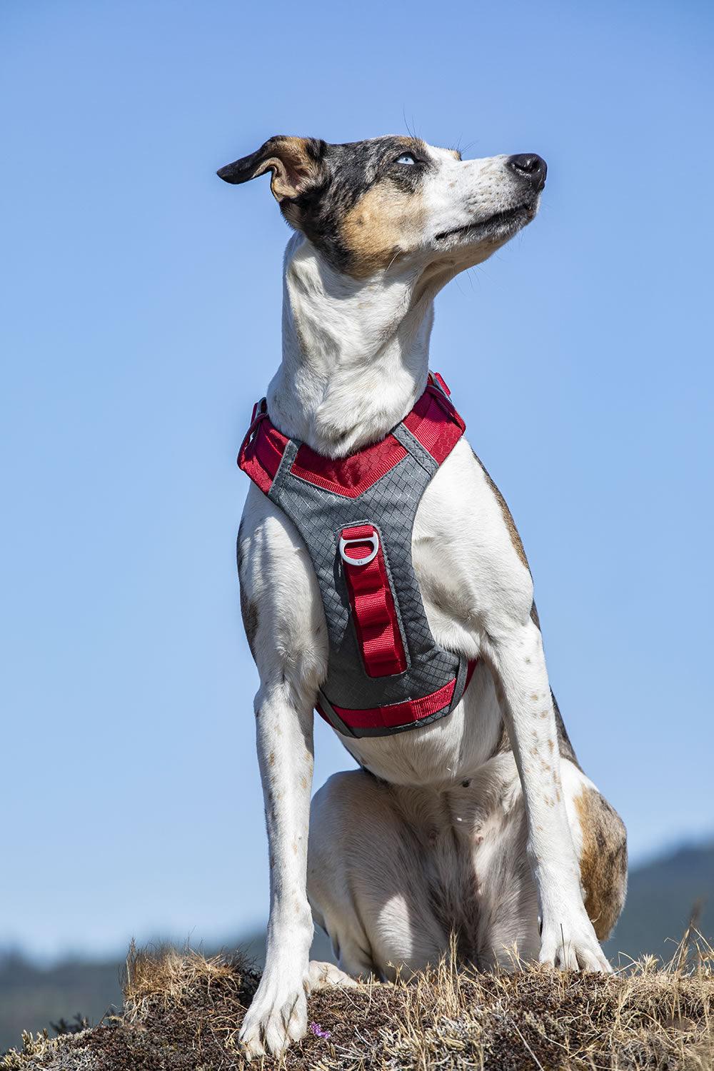 Kurgo Journey Air Harness Red Small
