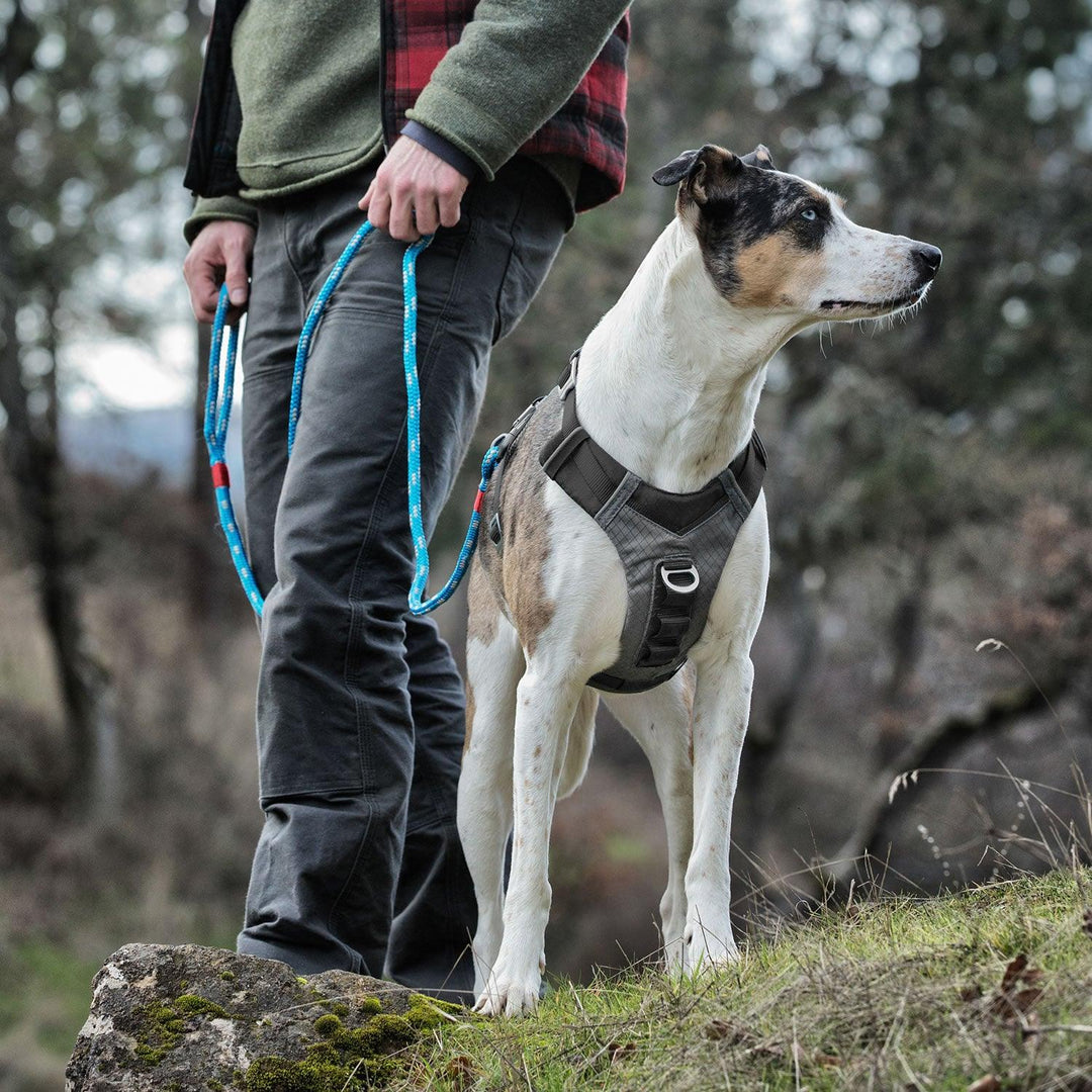 Kurgo Journey Air Harness Black/Grey Xlarge