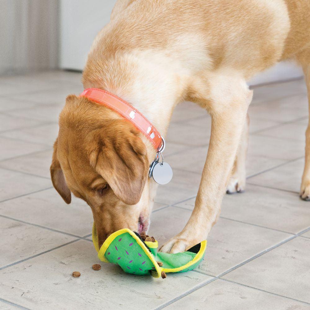 KONG Ballistic Hide 'N' Treat - Ormskirk Pets