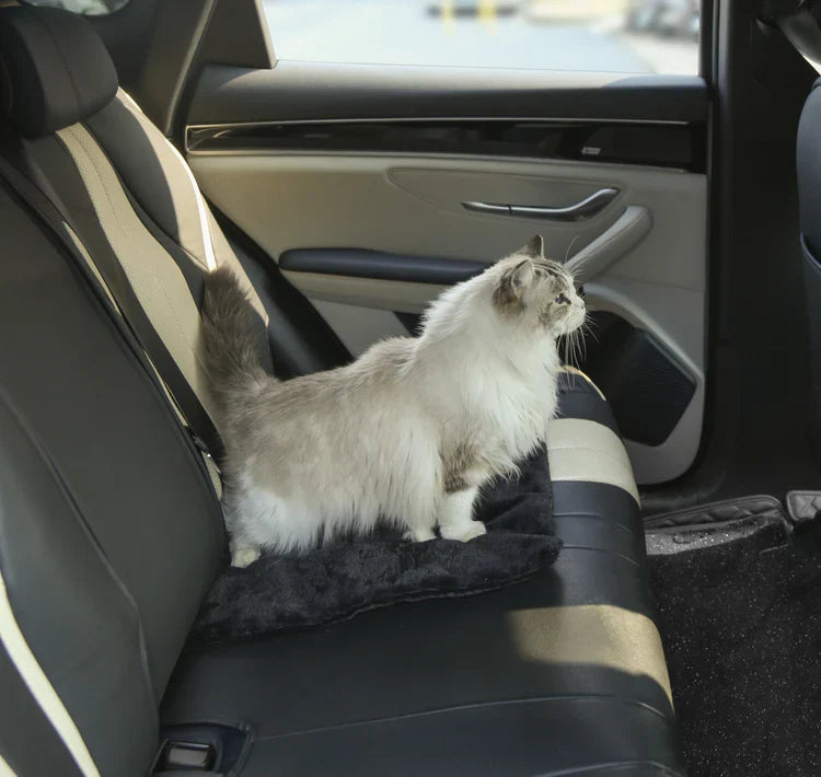 M-PETS Warmo Self Heating Mat