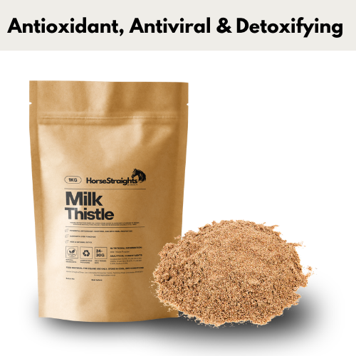 Horse Straights Direct Milk Thistle Powder 1kg