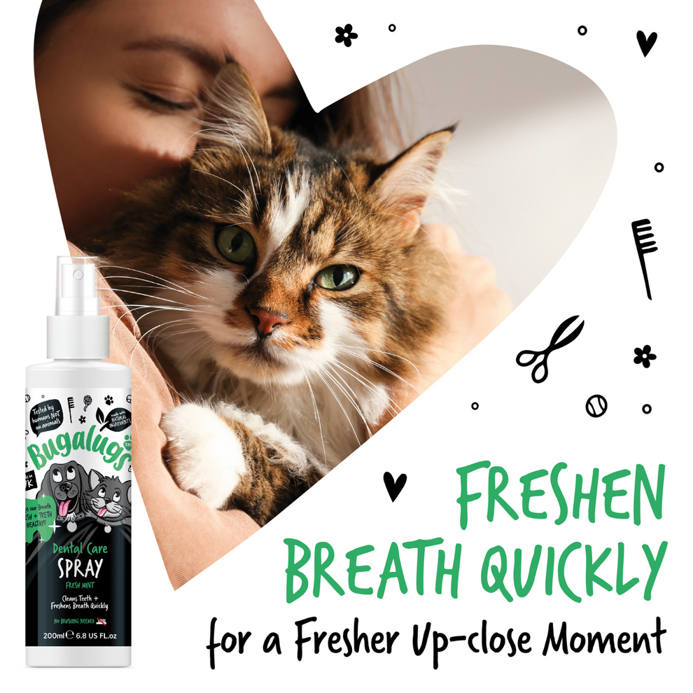 BUGALUGS DENTAL CARE SPRAY FRESH MINT 200ML