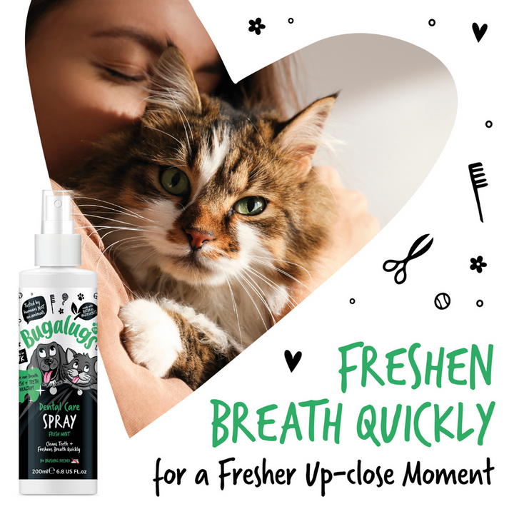 BUGALUGS DENTAL CARE SPRAY FRESH MINT 200ML