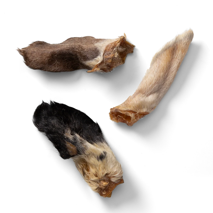NAW Hairy Lamb Ears, 100G