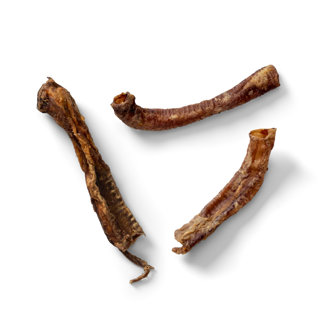 NAW Lamb Trachea