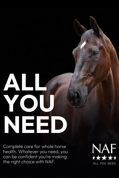 Equine
