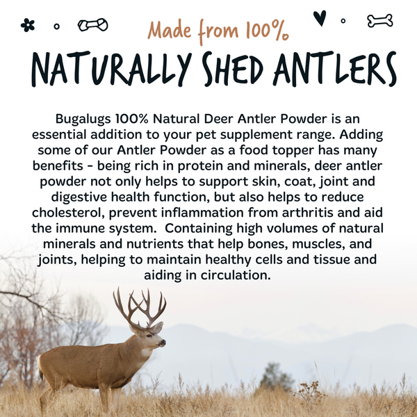 Bugalugs Deer Antler Supplement Powder 70g