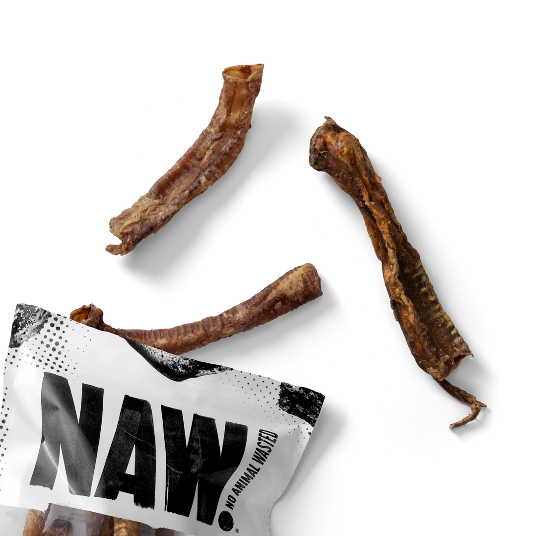 NAW Lamb Trachea