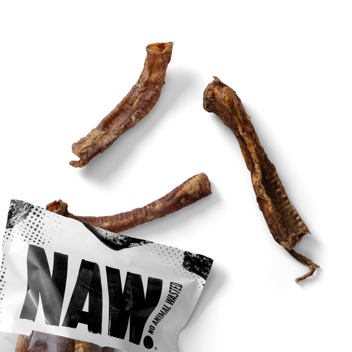 NAW Lamb Trachea
