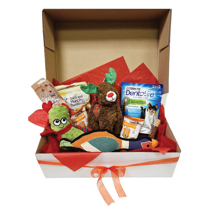 Doggy Christmas Hamper Box Standard