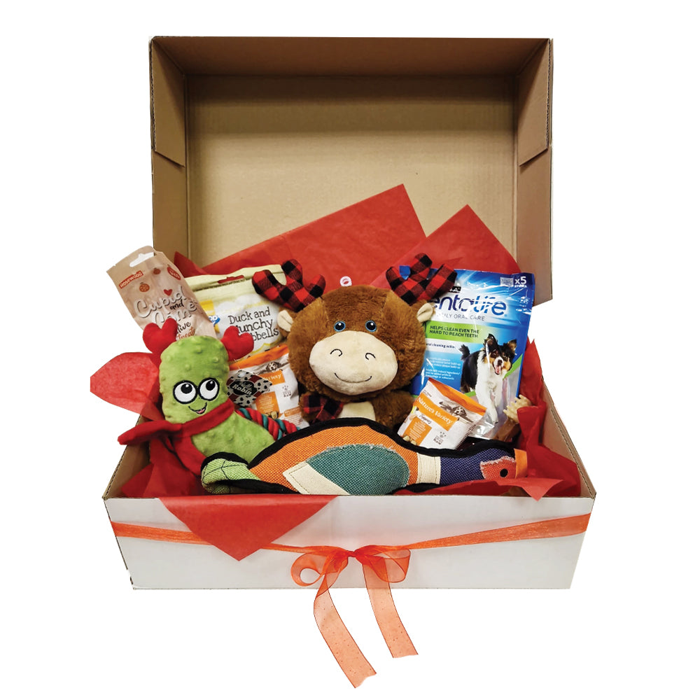 Doggy Christmas Hamper Box Standard