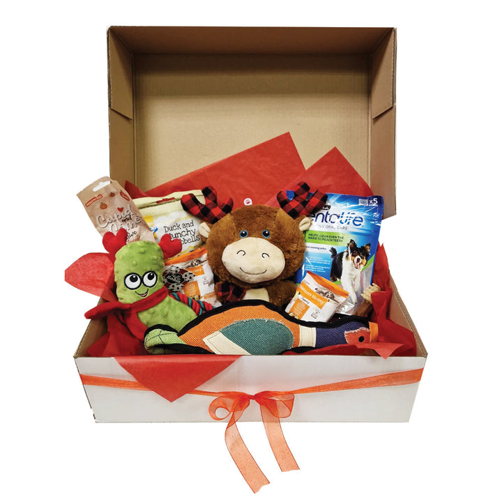Doggy Christmas Hamper Box Standard