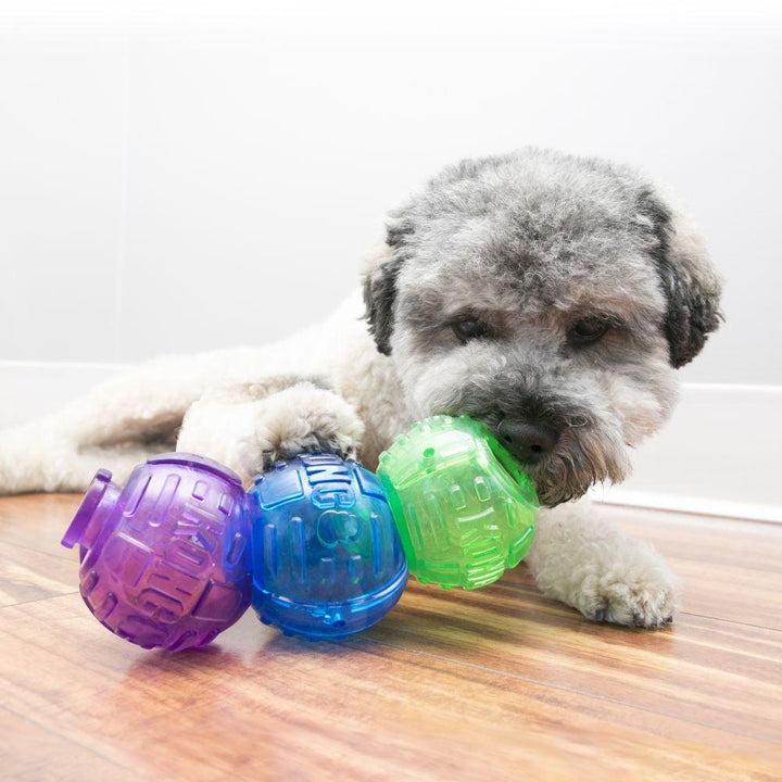 KONG Lock-it 2 Pack Large