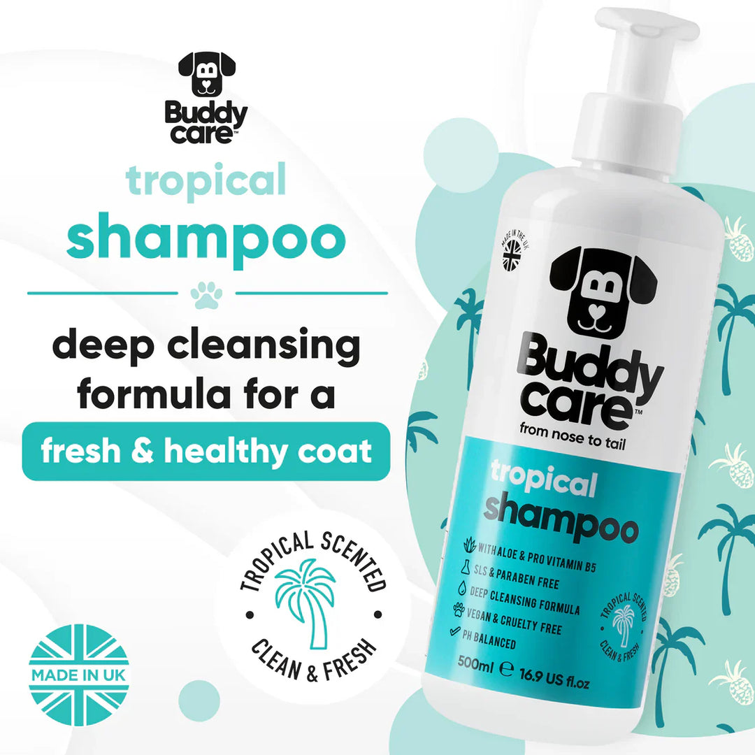 Buddycare Dog Shampoo Tropical