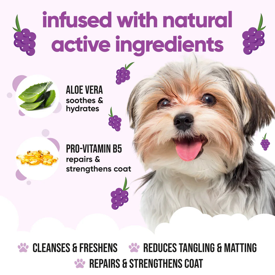 Buddycare Dog Grape Shampoo