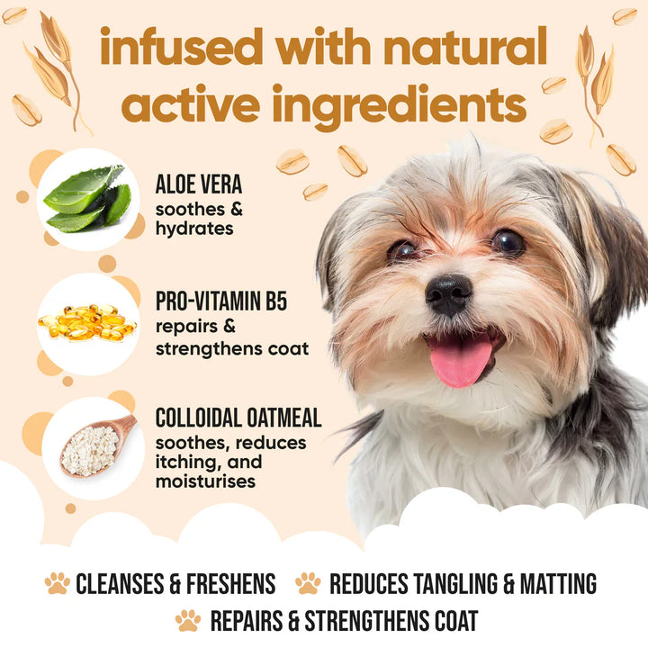 Buddycare Dog Shampoo Oatmeal