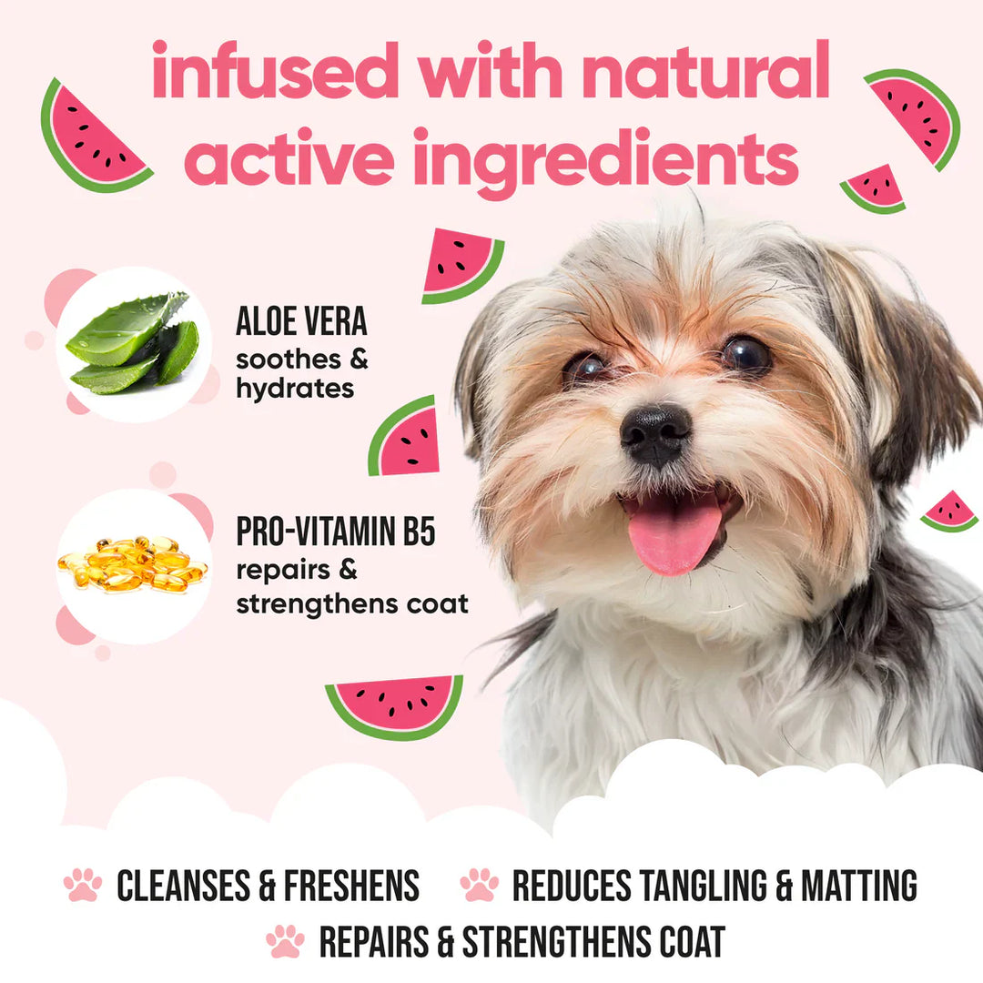 Buddycare Watermelon Dog Shampoo 500ml