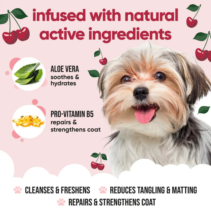 Buddycare Dog Shampoo Black Cherry