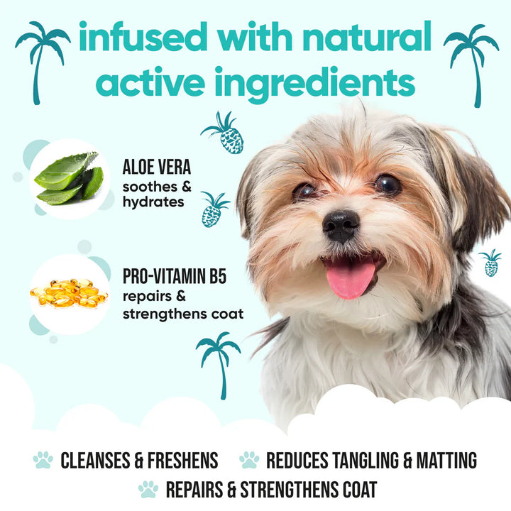 Buddycare Dog Shampoo Tropical