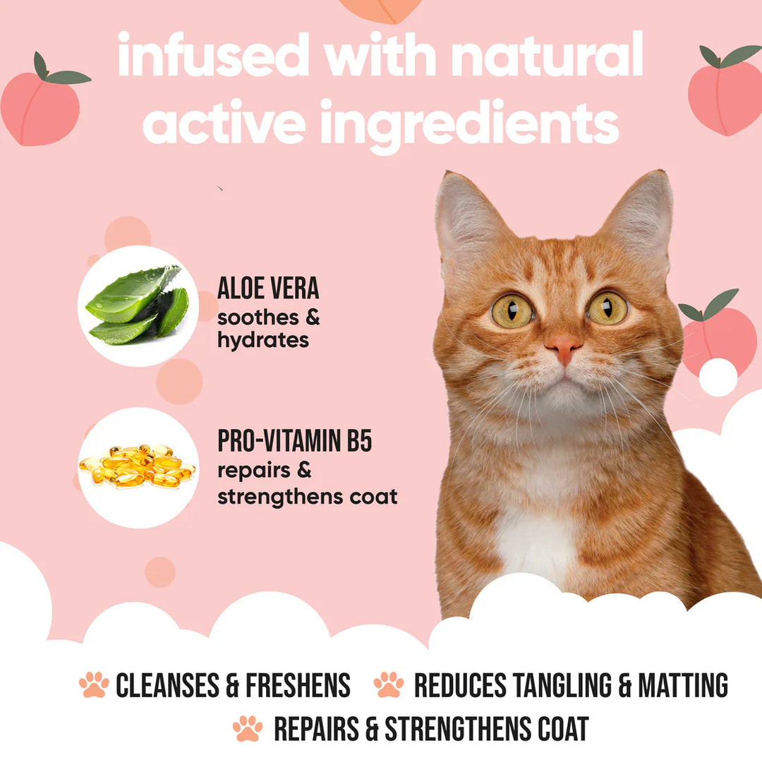 Buddycare Cat Shampoo Peach 500ml