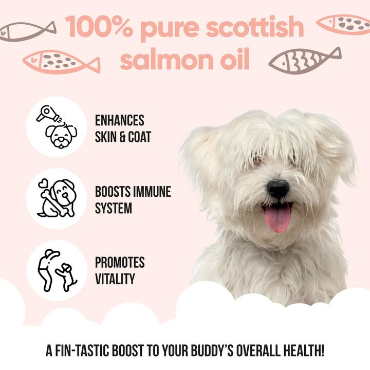 Buddycare Salmon Oil