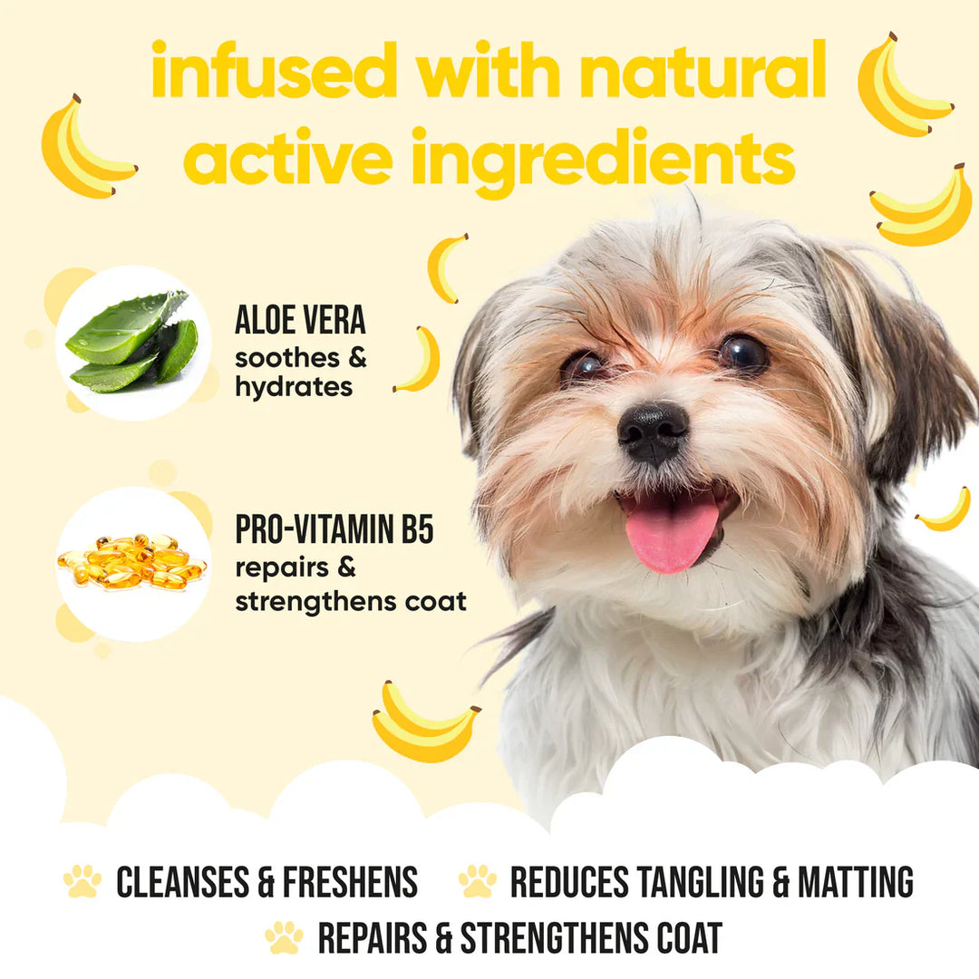 Buddycare Banana Dog Shampoo 500ml