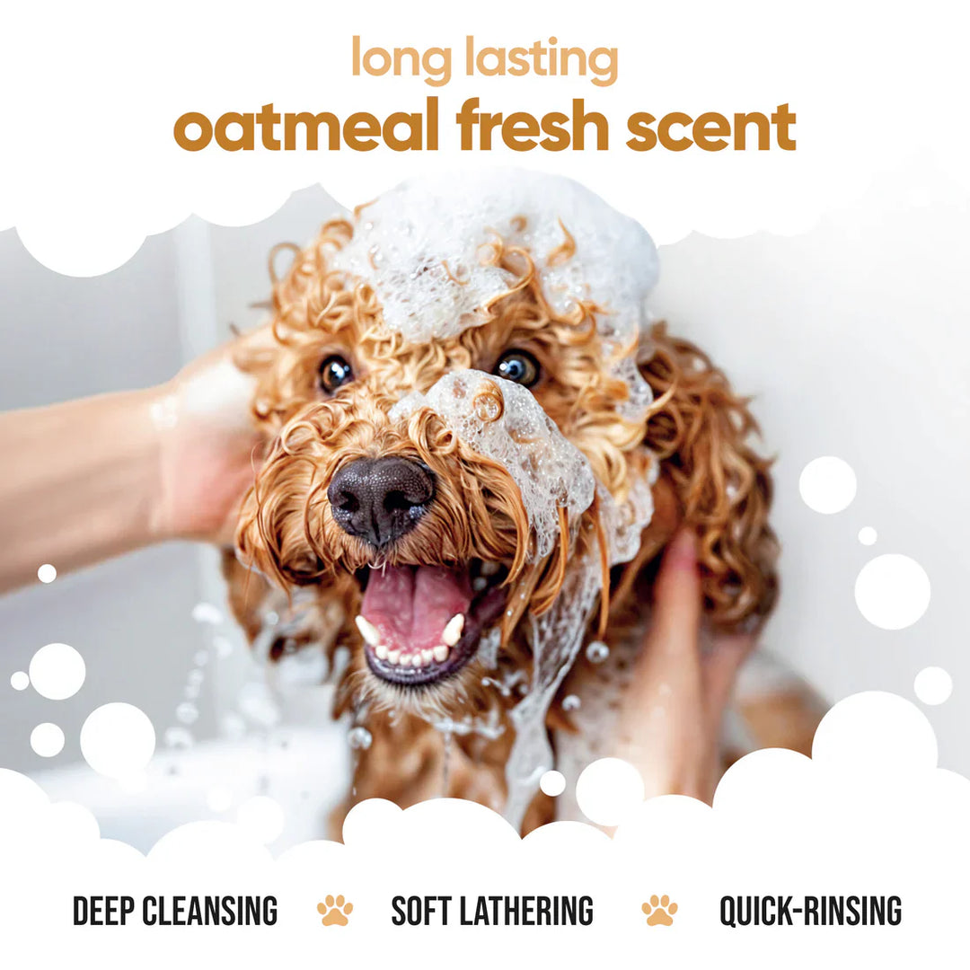 Buddycare Dog Shampoo Oatmeal