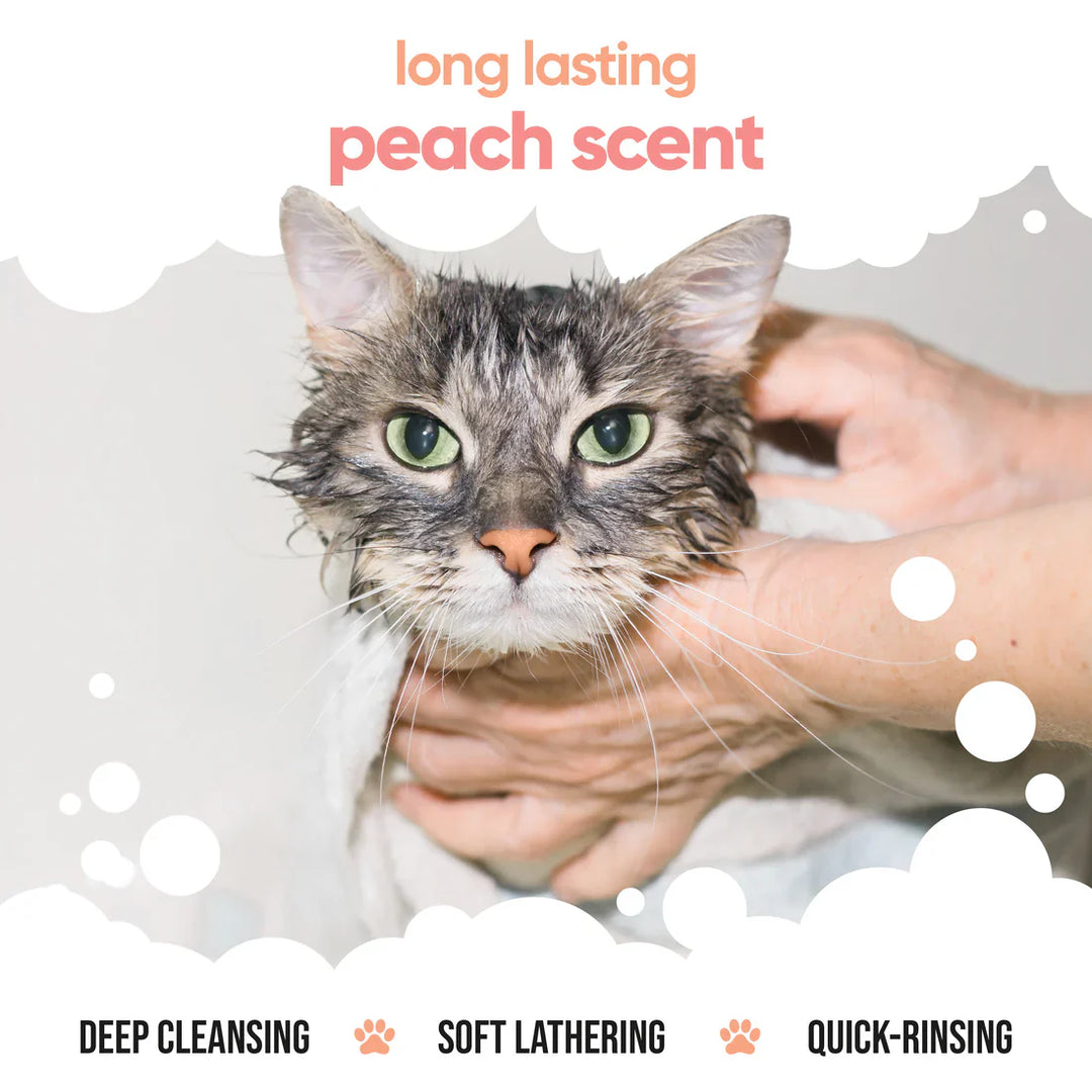 Buddycare Cat Shampoo Peach 500ml