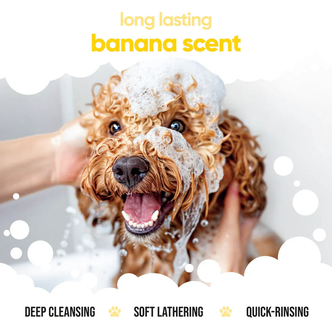 Buddycare Banana Dog Shampoo 500ml