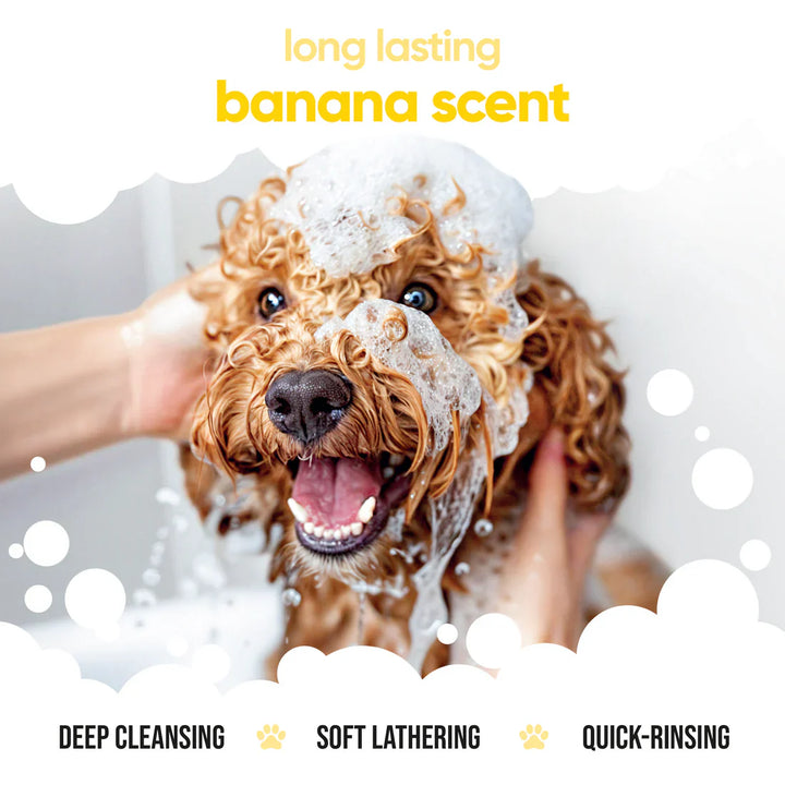 Buddycare Banana Dog Shampoo 500ml