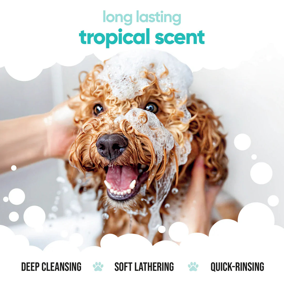 Buddycare Dog Shampoo Tropical