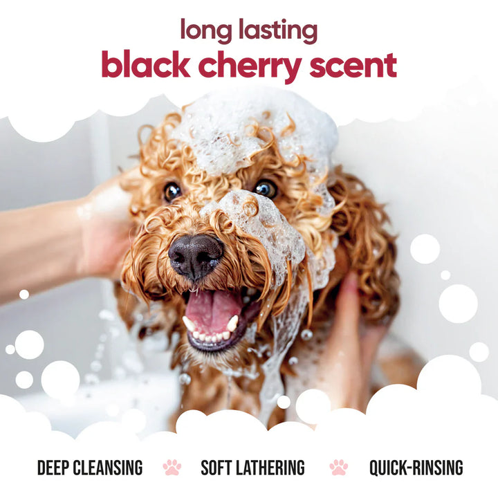 Buddycare Dog Shampoo Black Cherry