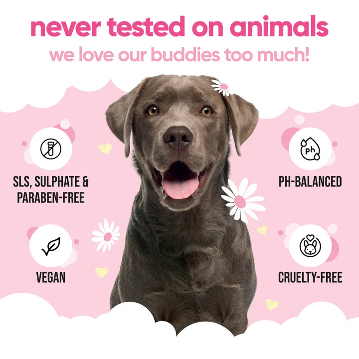 Buddycare Dog Shampoo Baby Fresh